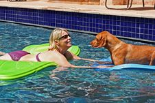 Blonde Woman In Pool Looks At Dog Stock Photography Blonde Woman In Pool Looks At Dog Stock Photography