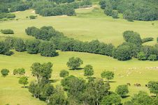 Pasture Stock Image Pasture Stock Image