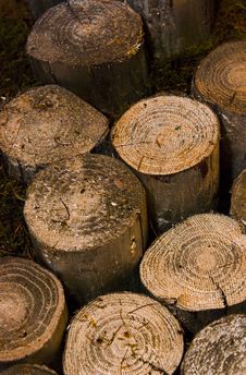 Logs Royalty Free Stock Image Logs Royalty Free Stock Image