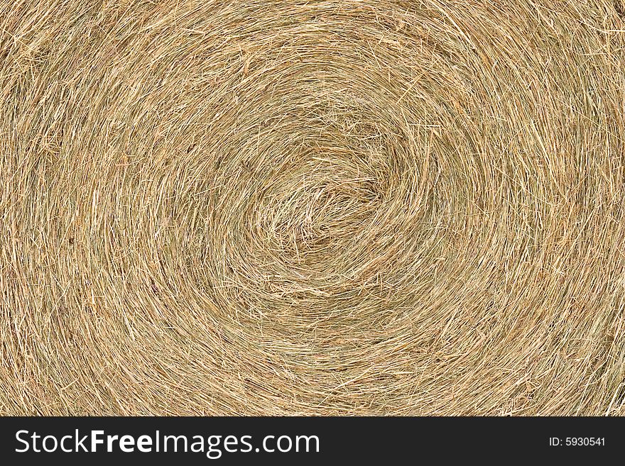 Close up of the texture and pattern within a rolled up hay bale. Close up of the texture and pattern within a rolled up hay bale