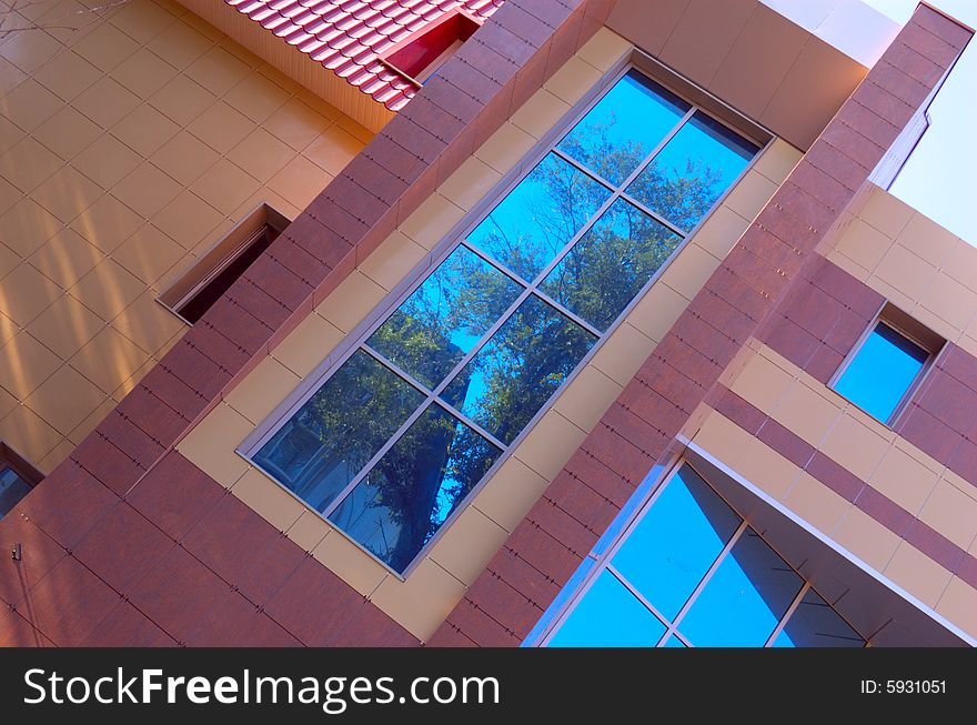 Wall of new modern office building with reflections of trees. Wall of new modern office building with reflections of trees