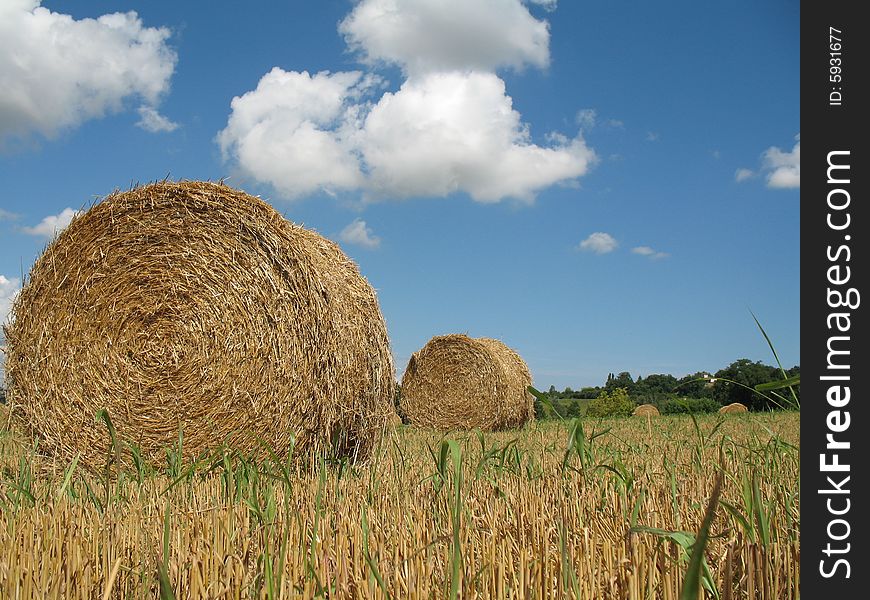 Hay bales with blue sky and white clouds