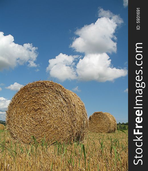 Hay bales with blue sky and white clouds