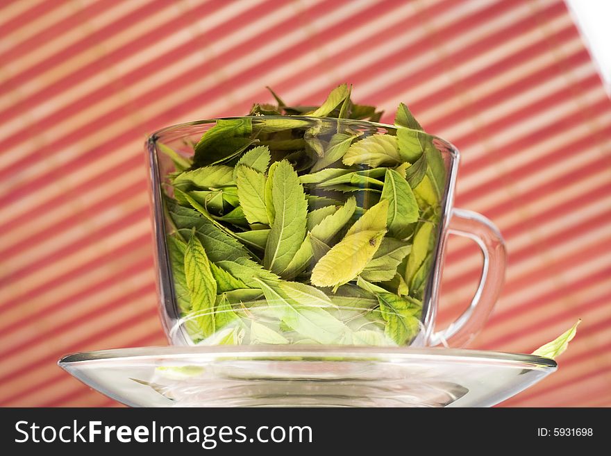 Cup full of leaves on striped background. Green tea freshness. Natural Drink.