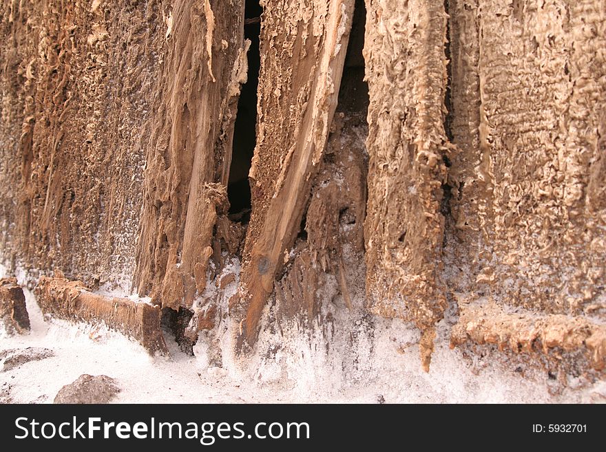 Fragment of a wall by the sea