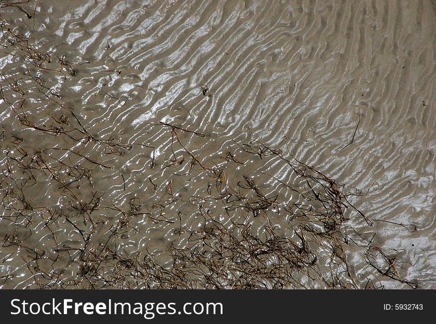 A piece of mud land in the outlet of Huangpu river. A piece of mud land in the outlet of Huangpu river.