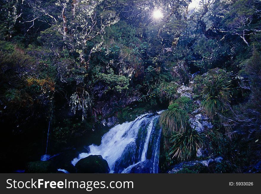 A waterfall along the Routeburn Track on New Zealand's South Island. A waterfall along the Routeburn Track on New Zealand's South Island.