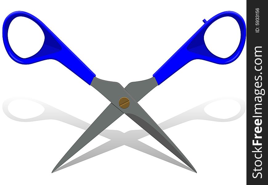 Hairdresser's scissors in a vector on a white background
