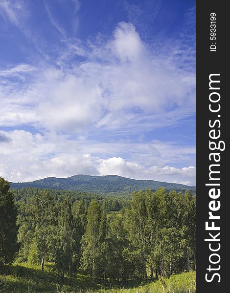 Landscape with the fine sky, a wood, mountains, clouds.