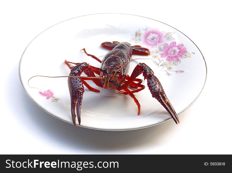 A lobster isolated on white bowl