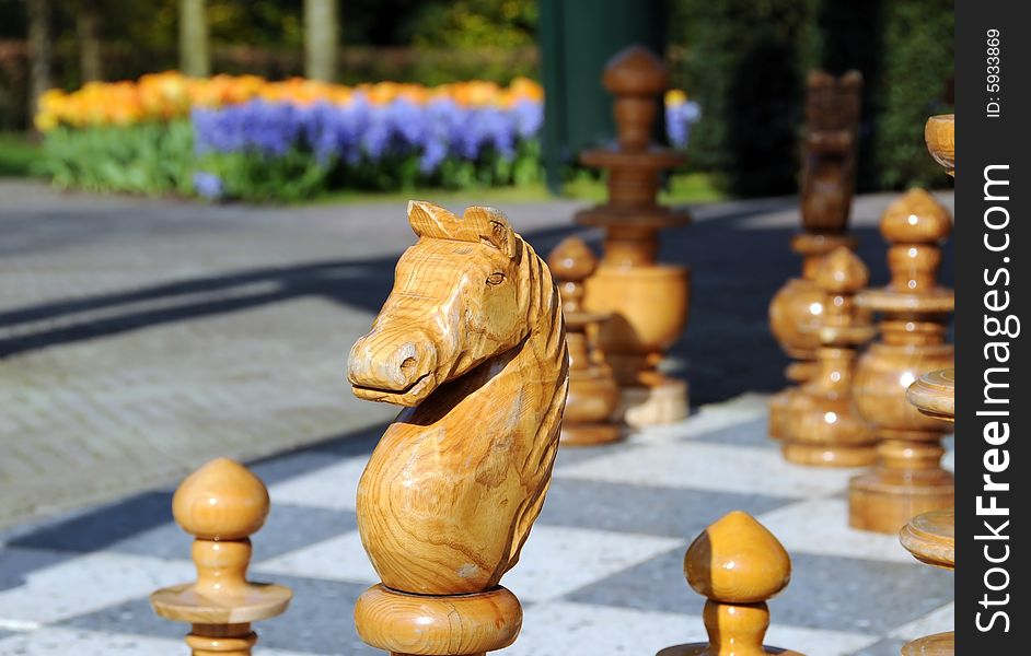 Wooden chess pieces in the park, Keukenhof Holland. Wooden chess pieces in the park, Keukenhof Holland