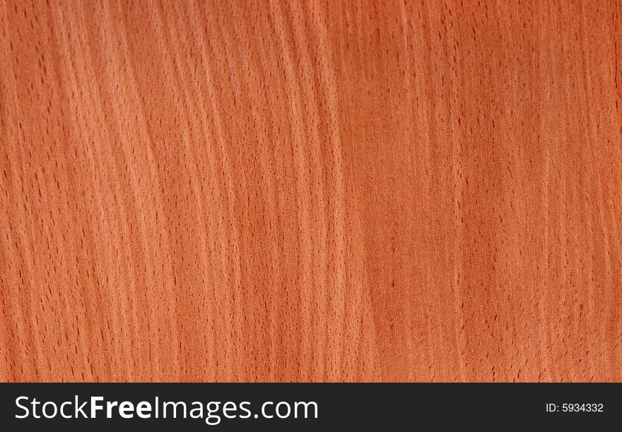 Wood Texture