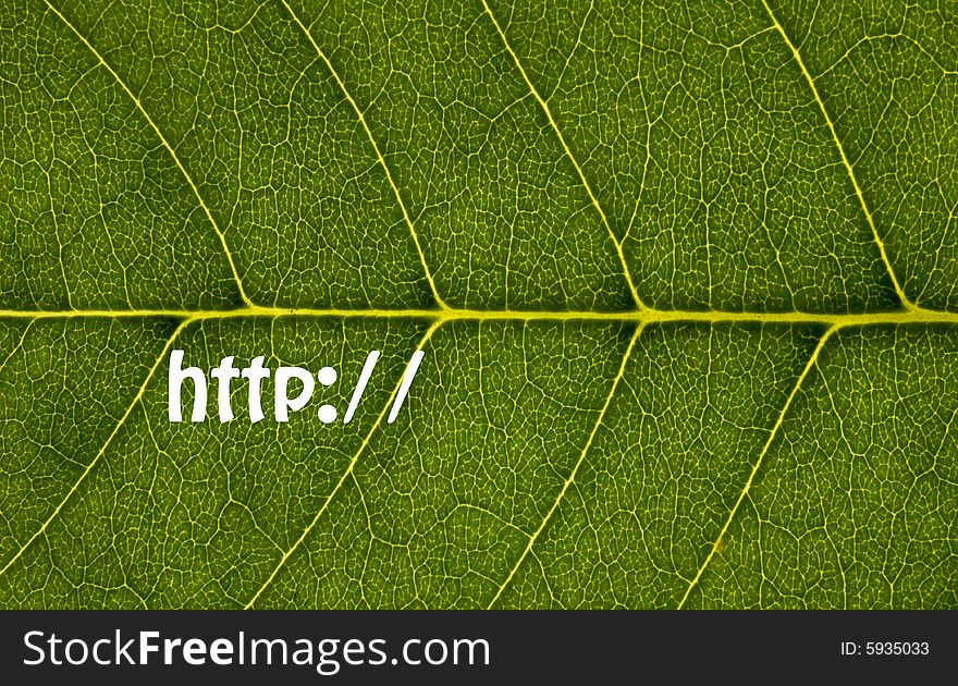 Green leaf texture with http:// sign. Green leaf texture with http:// sign