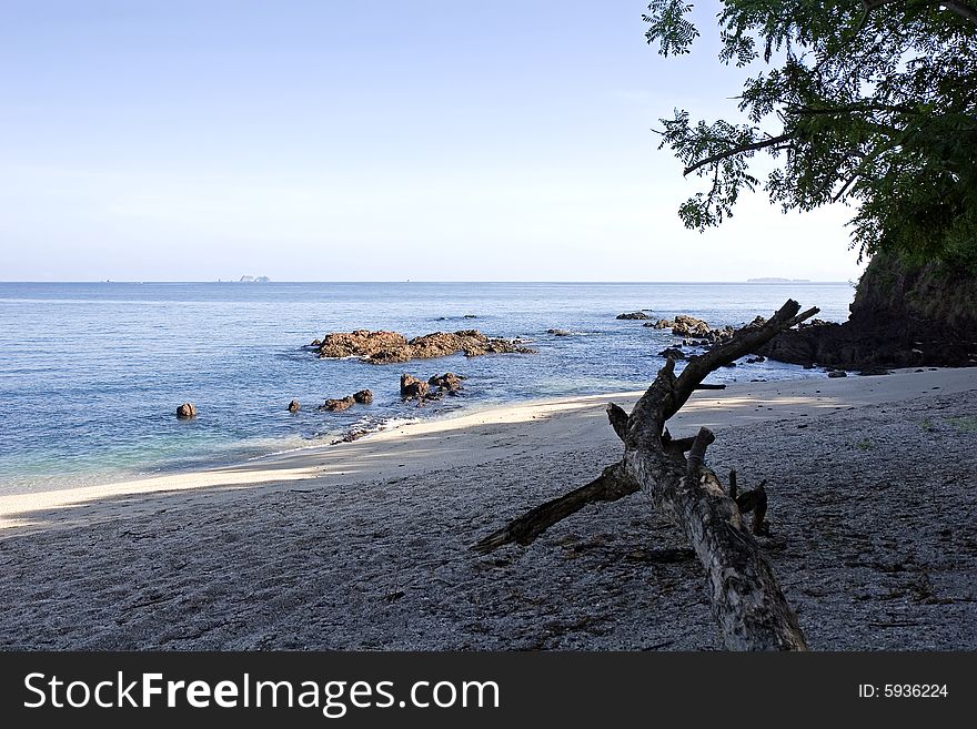 A piece of driftwood on the beach in the shade. A piece of driftwood on the beach in the shade