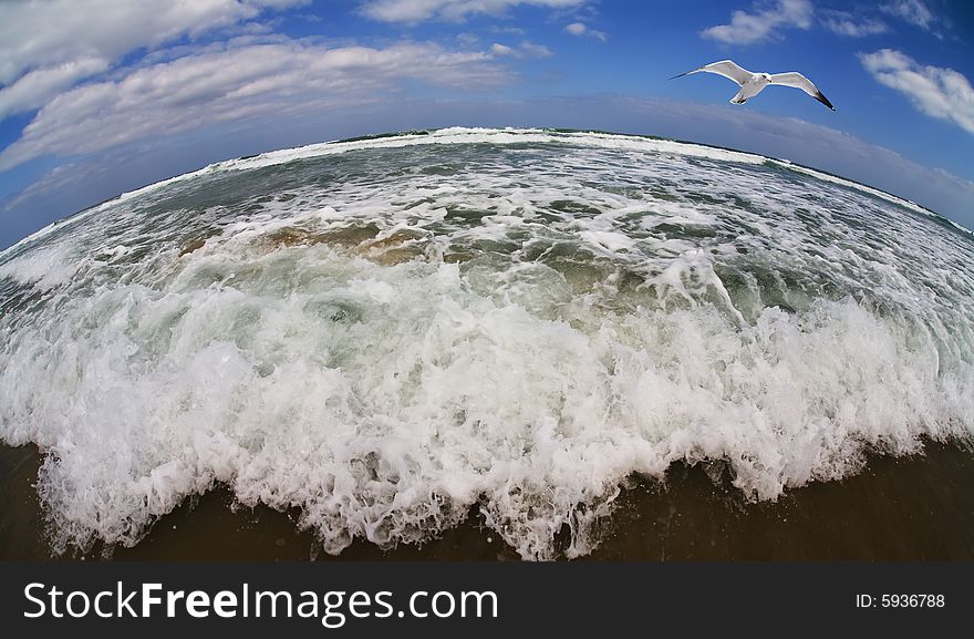 Flight Of The Seagull Above The Gale Sea.