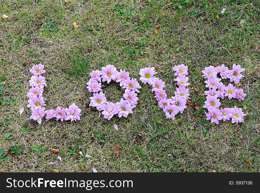 Shot of daisy heads spellng out the word love. Shot of daisy heads spellng out the word love