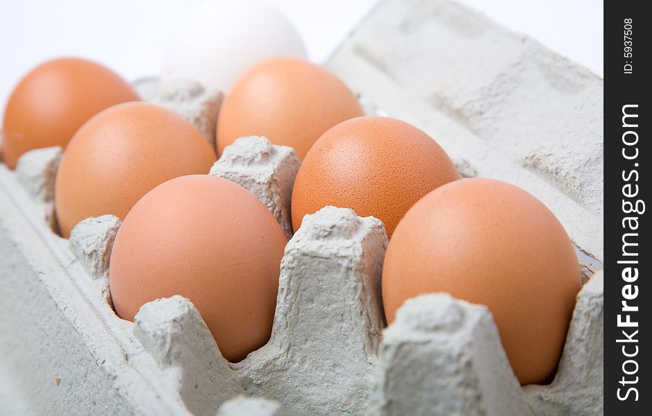 Eggs in cells on white background