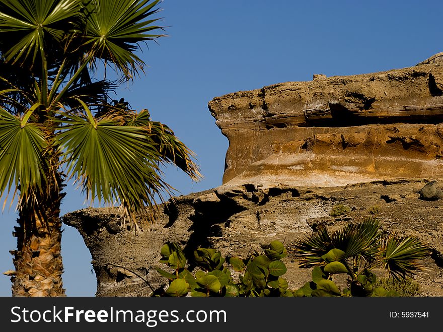 Rocks and palms on Tenerife island Spain. Rocks and palms on Tenerife island Spain