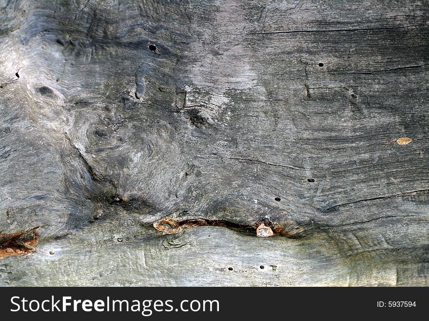A close-up of tree bark. Useful for textures and backgrounds. A close-up of tree bark. Useful for textures and backgrounds.