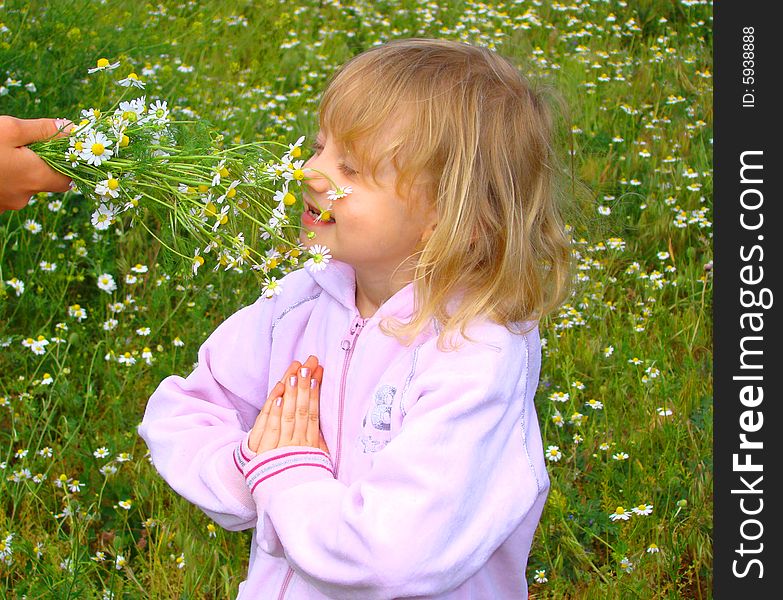 A little girl inhales the aroma of the field flowers. A little girl inhales the aroma of the field flowers.