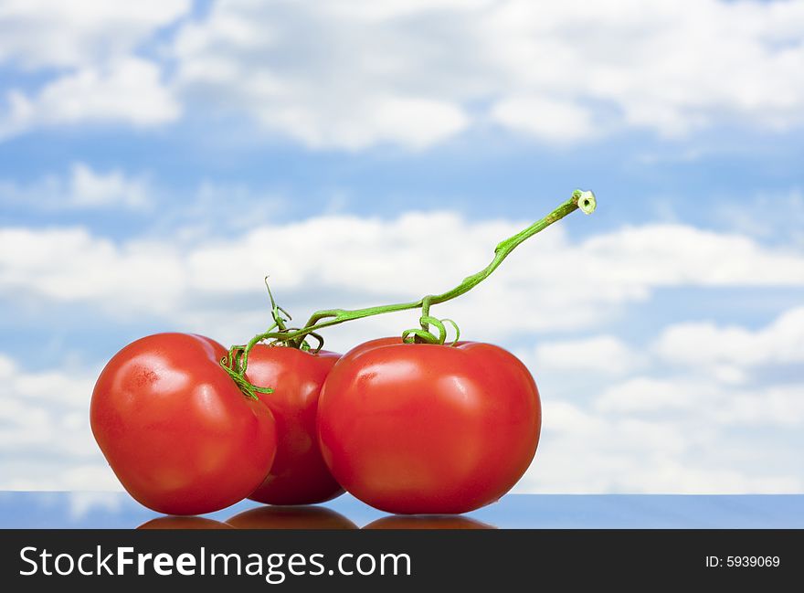 View of three nice big red tomatoes  on blue sky back. View of three nice big red tomatoes  on blue sky back