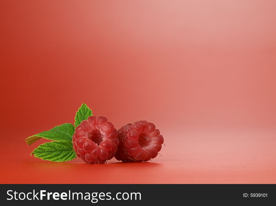 Close up view of nice fresh red raspberry. Good for label, lots of copy space. Close up view of nice fresh red raspberry. Good for label, lots of copy space.