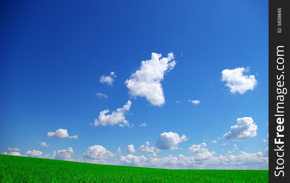 Blue sky background with a tiny clouds. Blue sky background with a tiny clouds