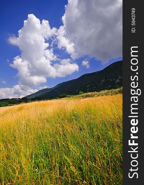 A summer field in the Abruzzo Region, Central Italy. A summer field in the Abruzzo Region, Central Italy