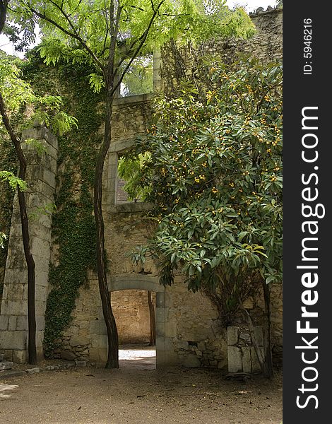 Walls and green in old city of Gerona