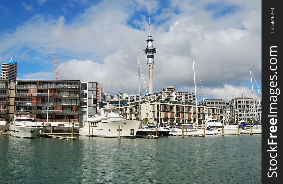 Yachts At Auckland Harbor