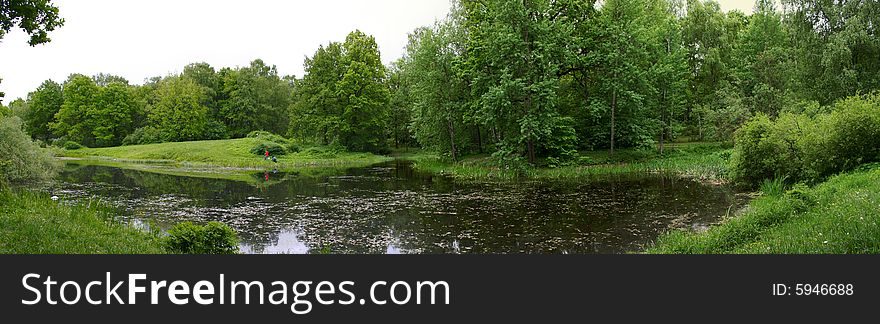 Panoramic photo of the lake in the forest