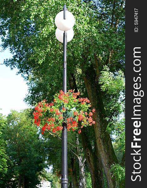 Lantern with the flowers, colored photo