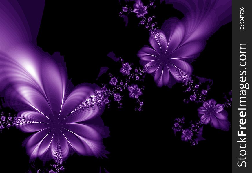 Wonderful flowers on the black background. Wonderful flowers on the black background