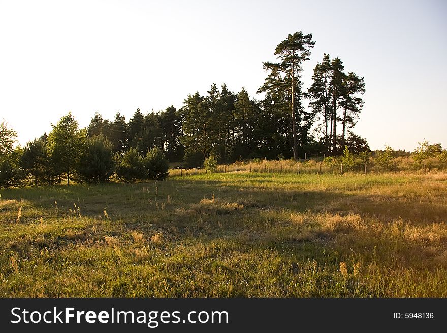 Sunset forest with meadow landscape. Sunset forest with meadow landscape