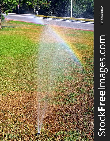 Rainbow on lawn at irrigation in park
