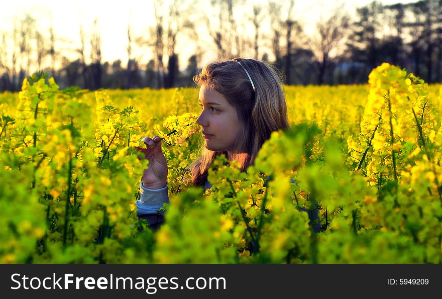 A young girl standing in rape field. A young girl standing in rape field