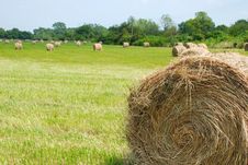 Hay Roll Stock Photography