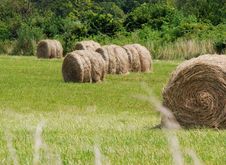 Hay Roll Stock Images
