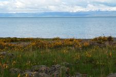 Qinghai Lake - The Island Of Sand Stock Images Qinghai Lake - The Island Of Sand Stock Images