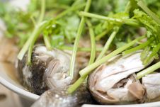 Steamed Fish With Caraway Royalty Free Stock Photo