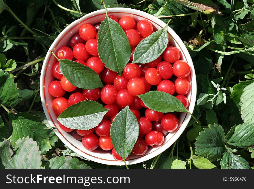 Red cherry in the  saucer.