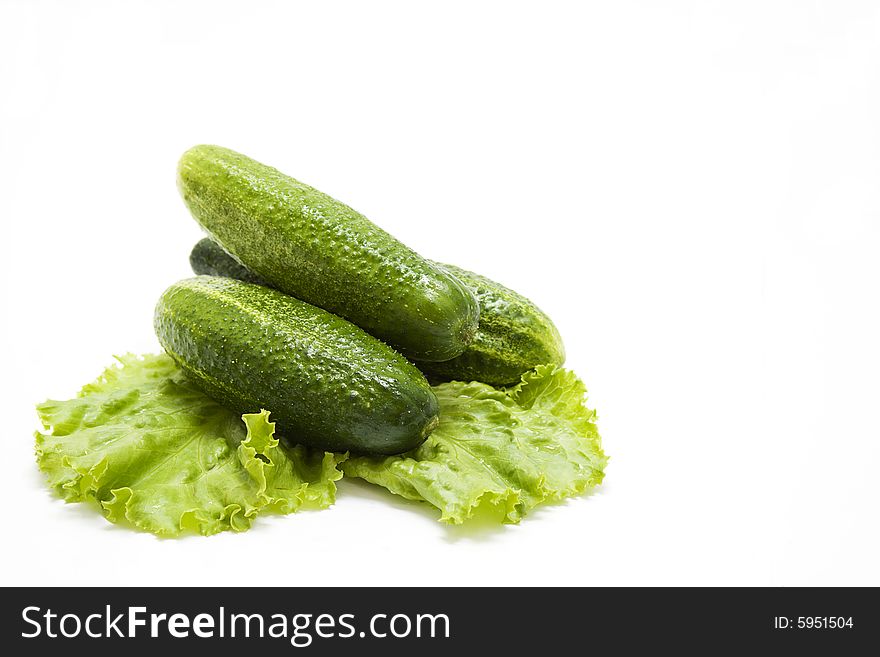 Clean isolated cucumbers on letucce. Clean isolated cucumbers on letucce