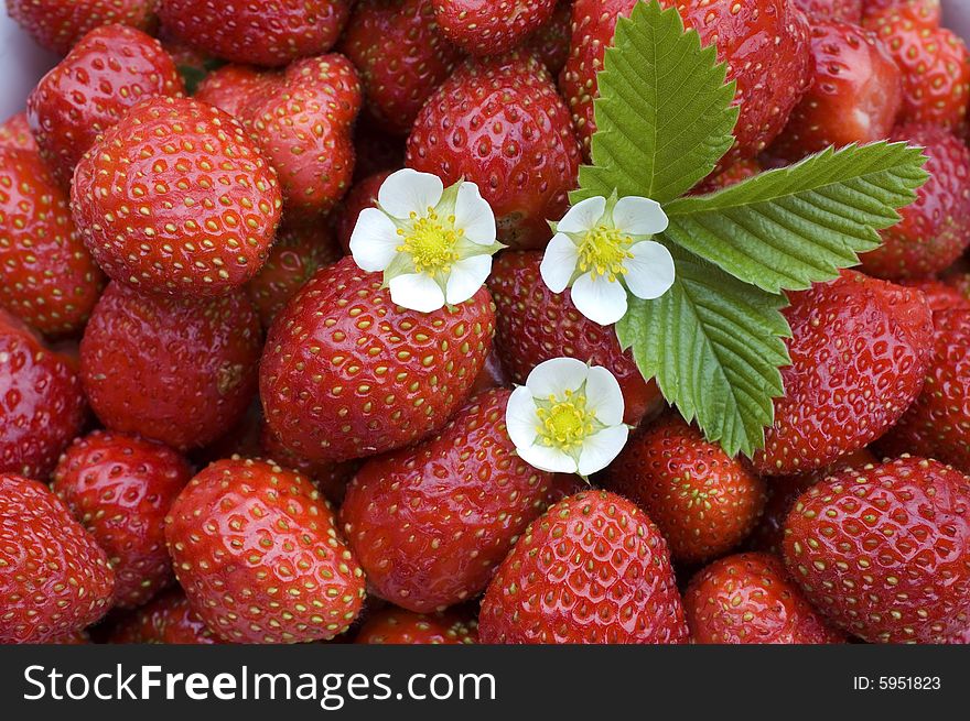 Strawberry.