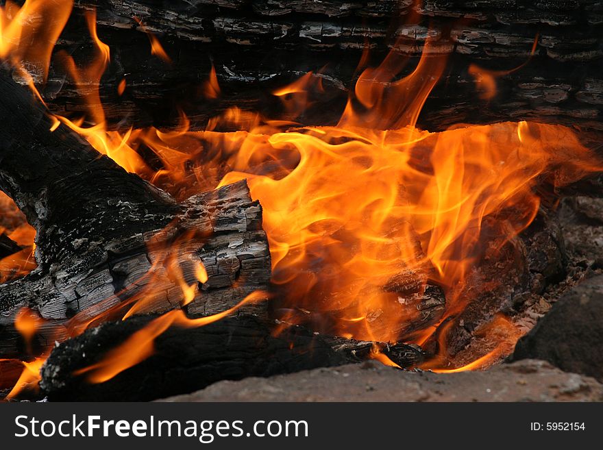 Campfire,forest,logs,flame,flames,cold,camp,heat