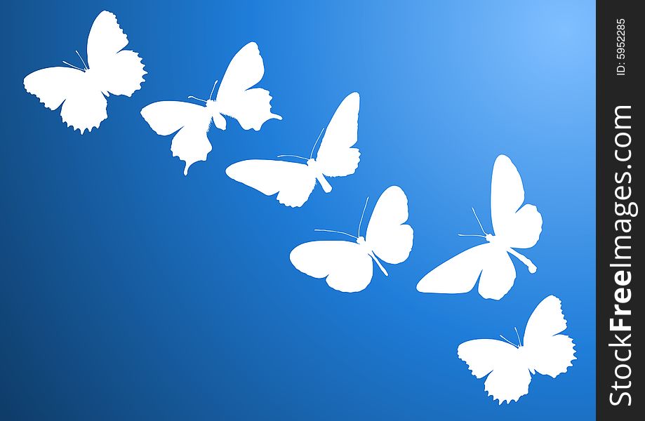 Six different butterflies on blue background. Six different butterflies on blue background