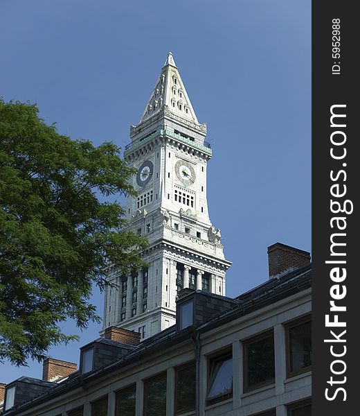 Historic Stone Church clocktower Tree