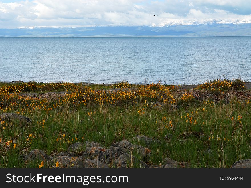 Qinghai Lake - the island of sand