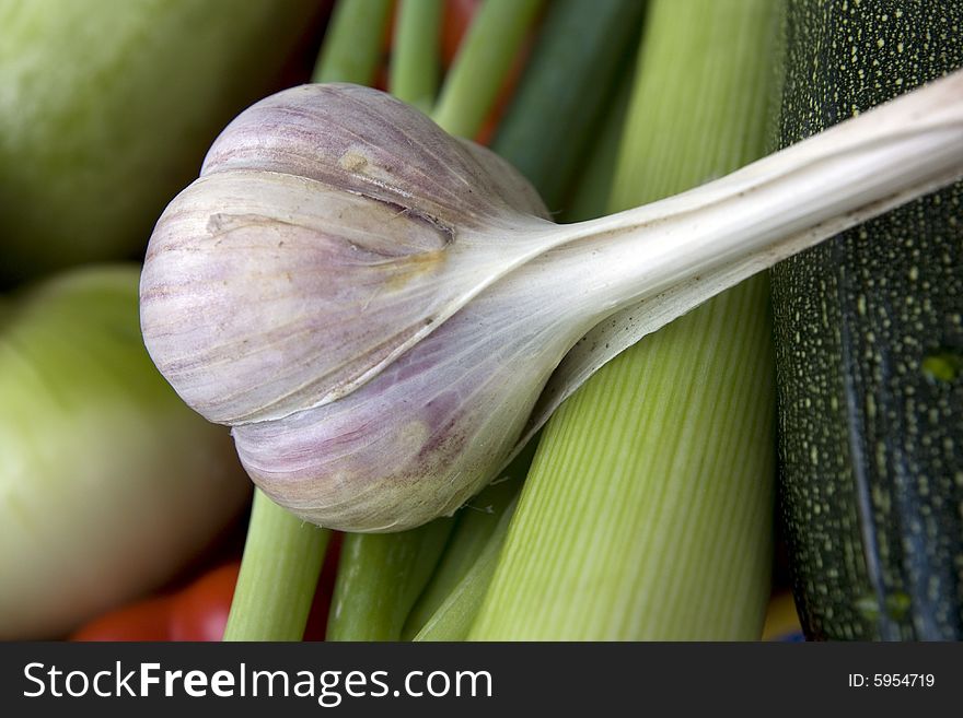 Fresh garlic on the green vegatables