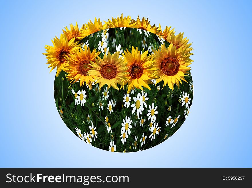 An image of earth with yellow sunflowers