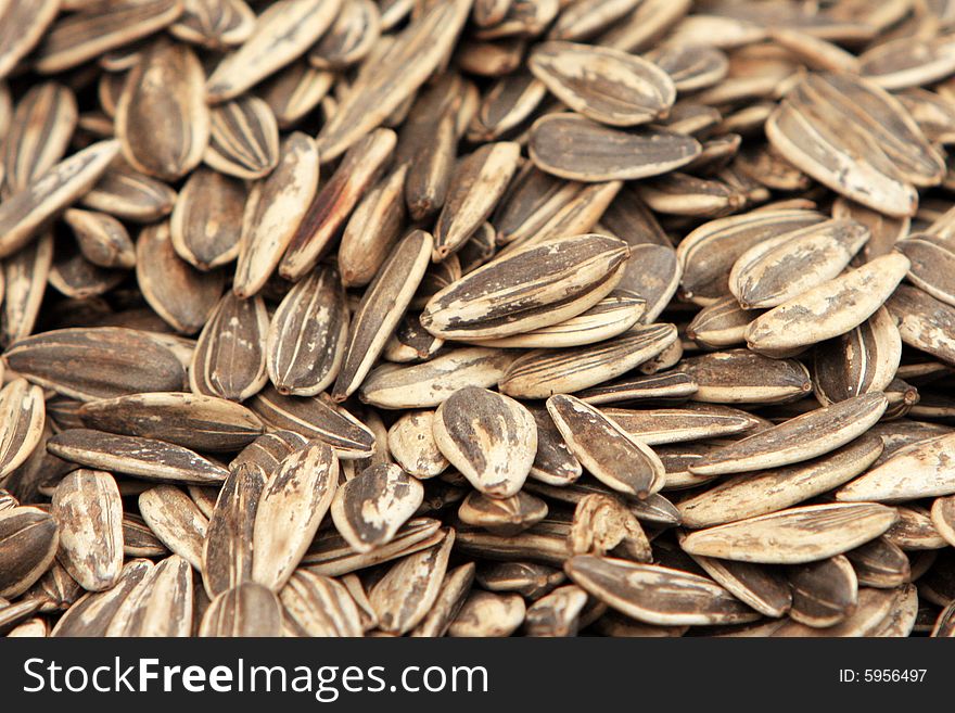 Sunflower Seeds in a pile